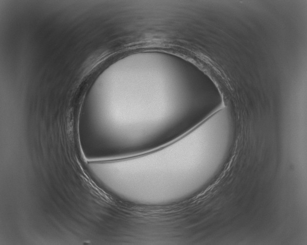 X0000084541450200702230856