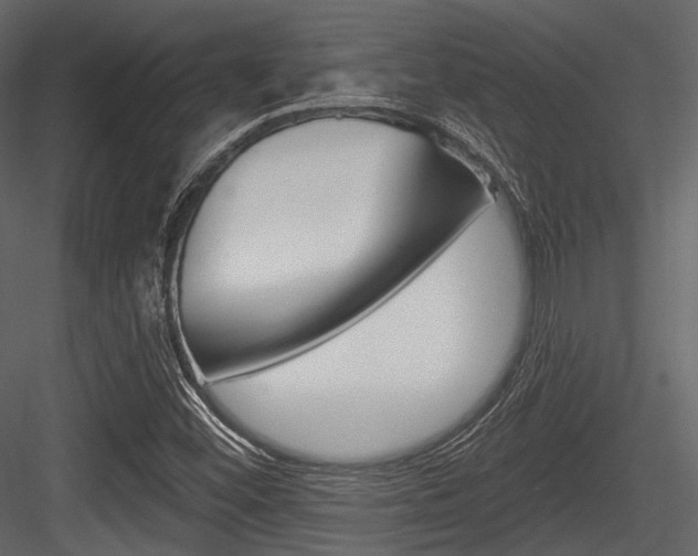 X0000084541452200702230856
