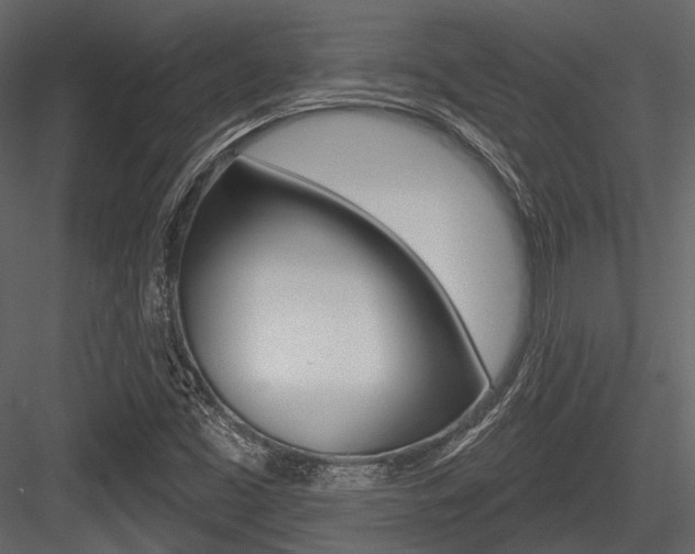 X0000084541453200702230856