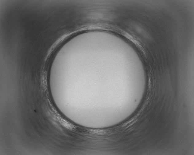 X0000084541454200702230856