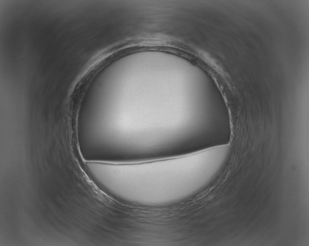 X0000084541456200702230855