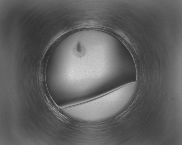 X0000084541458200702230855