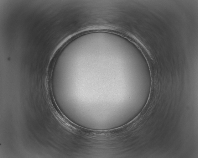 X0000084541460200702230855