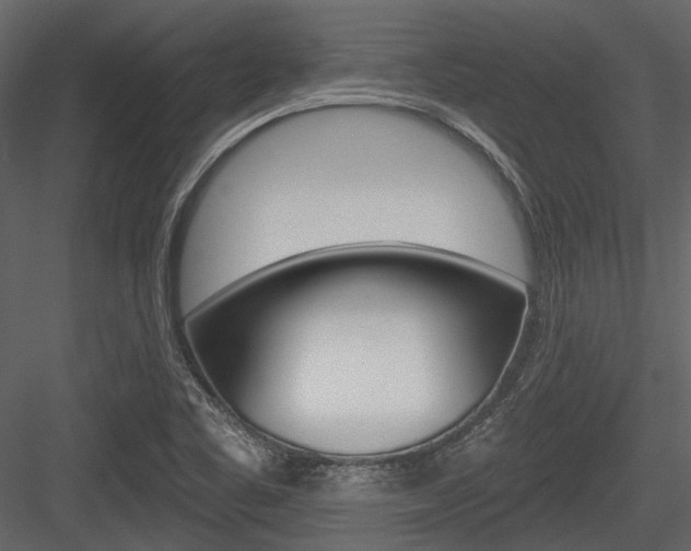 X0000084541461200702230855