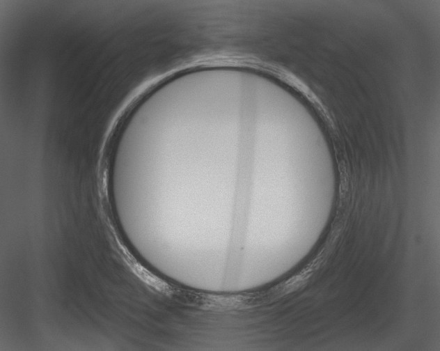 X0000084541462200702230855