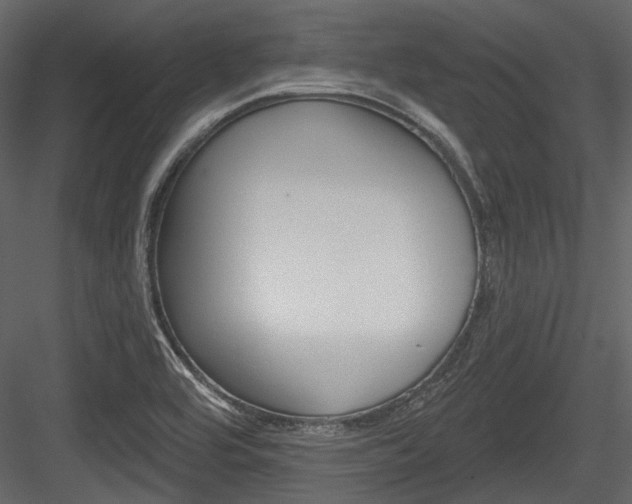 X0000084541464200702230855