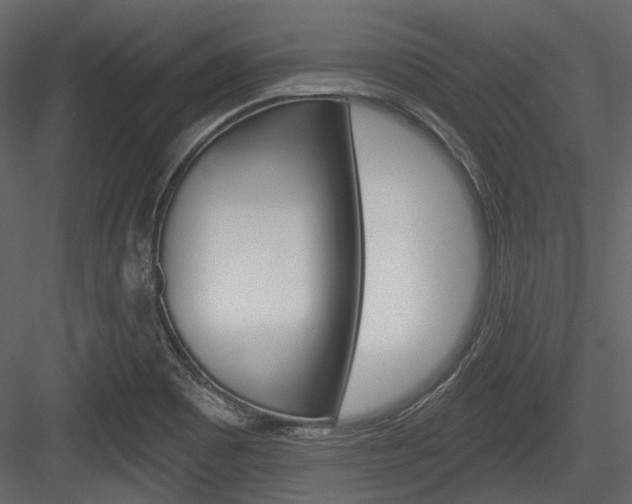 X0000084541465200702230855