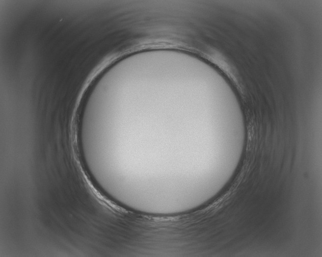 X0000084541466200702230855