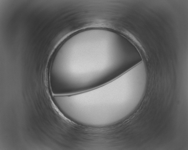 X0000084541468200702230855