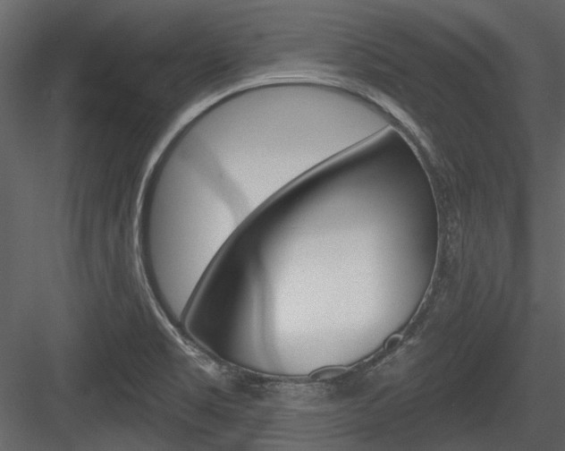 X0000084541469200702230855