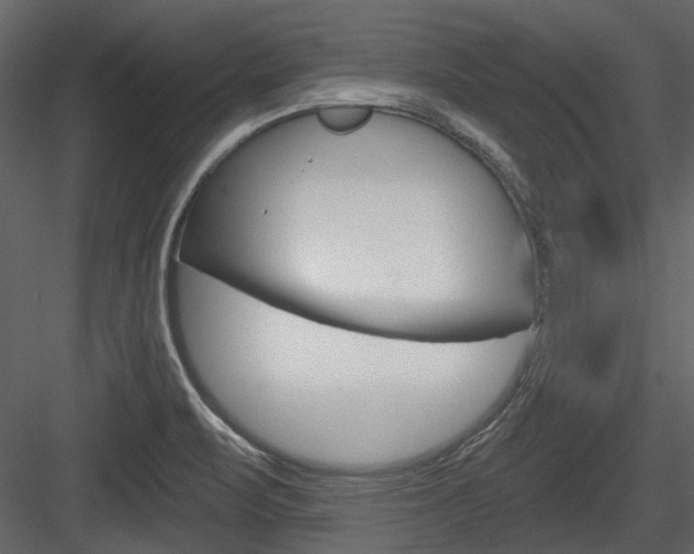 X0000084541471200702230855