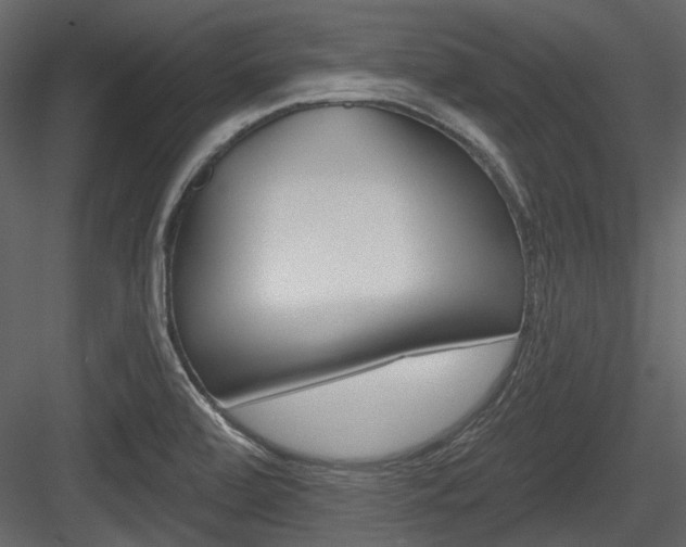 X0000084541472200702230855