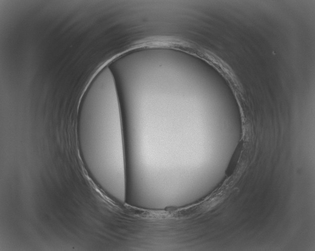 X0000084541473200702230855