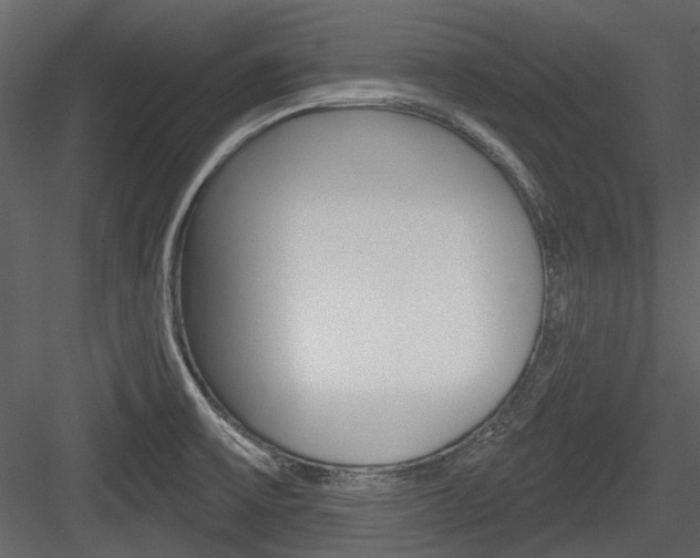 X0000084541475200702230855