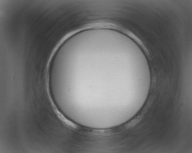 X0000084541478200702230855