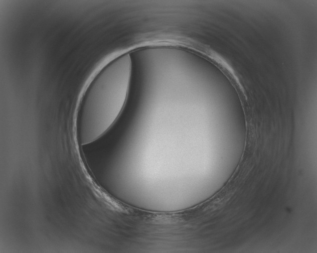 X0000084541480200702230855