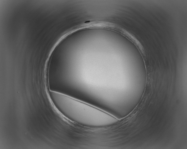 X0000084541483200702230855