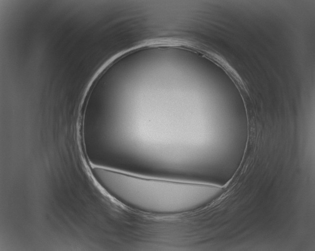 X0000084541484200702230855