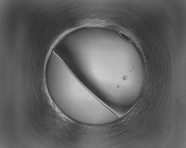 X0000084541488200702230855