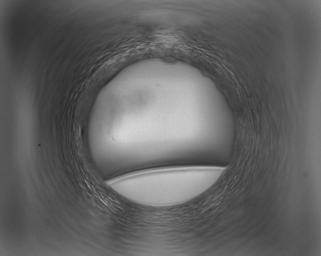 X0000084541489200702230854