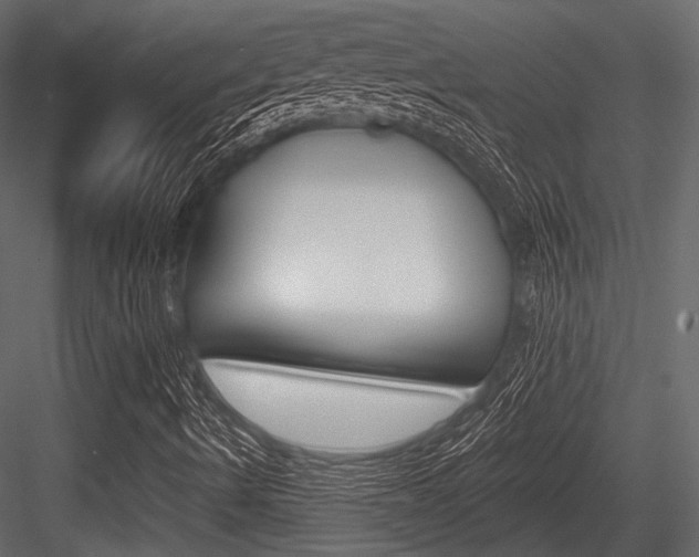 X0000084541490200702230854