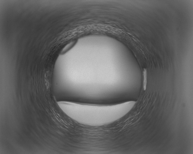 X0000084541491200702230854