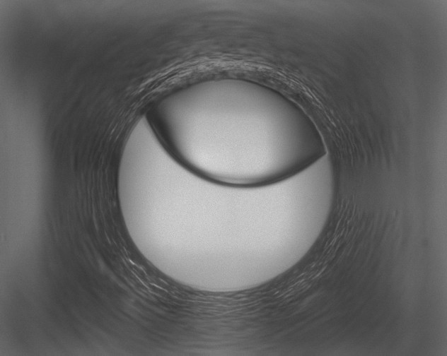 X0000084541492200702230854