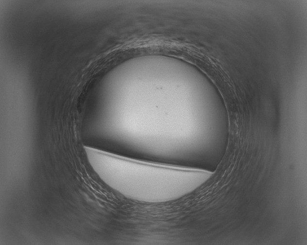 X0000084541493200702230854