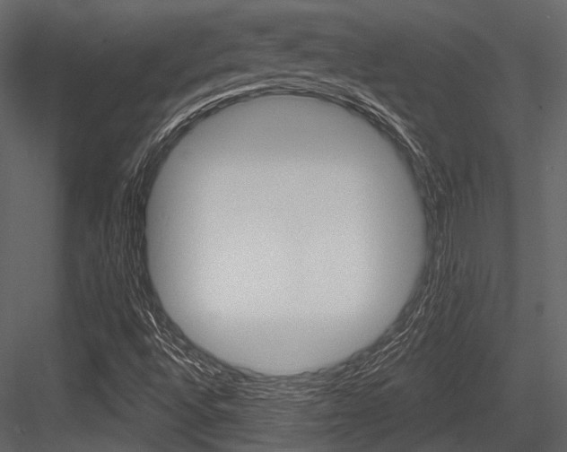 X0000084541496200702230854