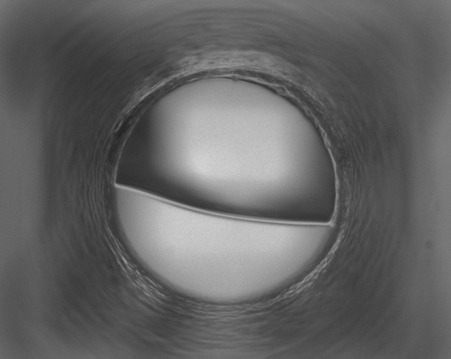 X0000084541497200702230854