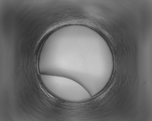 X0000084541498200702230854