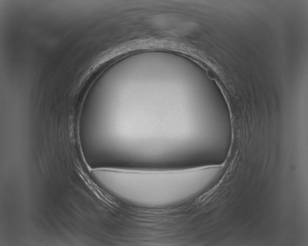X0000084541499200702230854