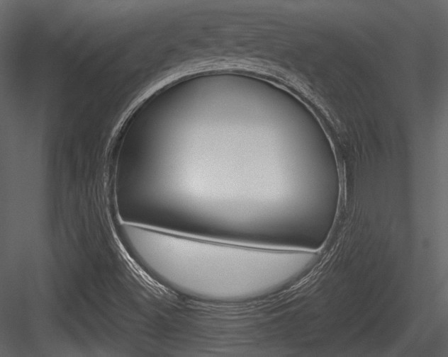 X0000084541500200702230854