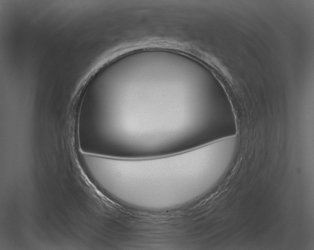 X0000084541504200702230854
