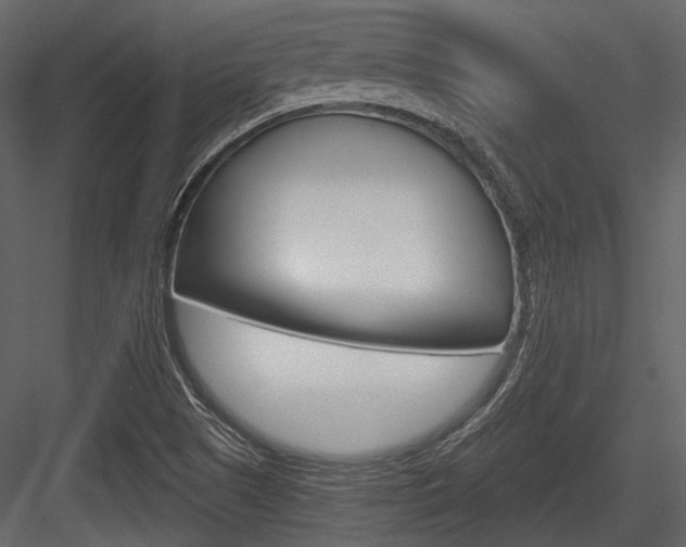 X0000084541505200702230854