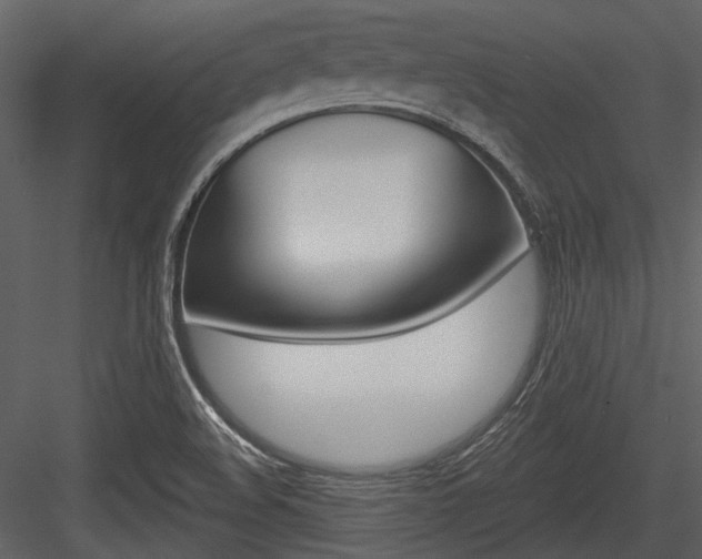 X0000084541508200702230854