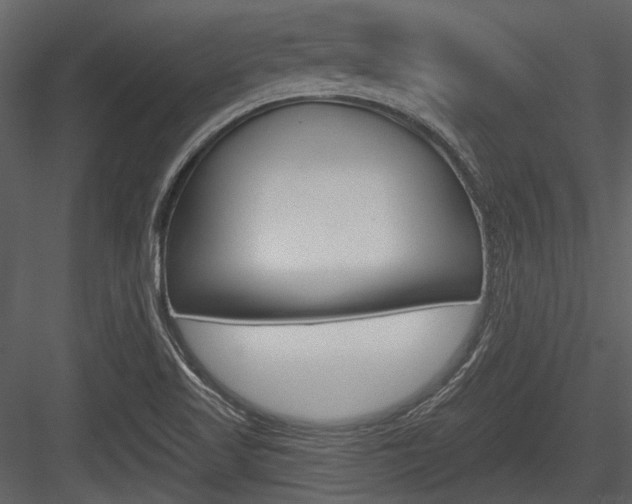 X0000084541509200702230854