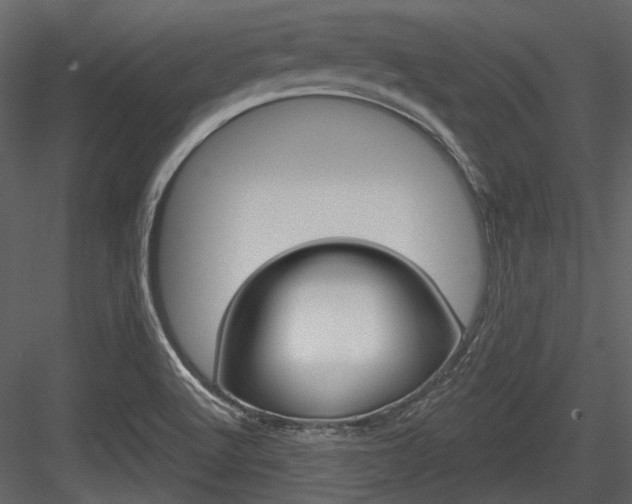 X0000084541512200702230855