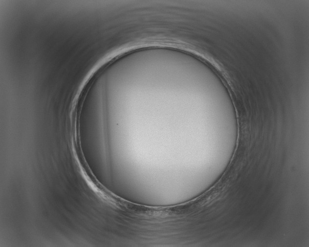 X0000084541515200702230855