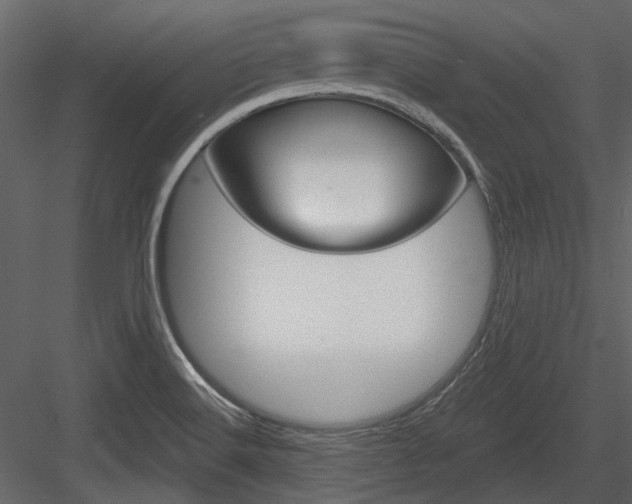X0000084541516200702230855