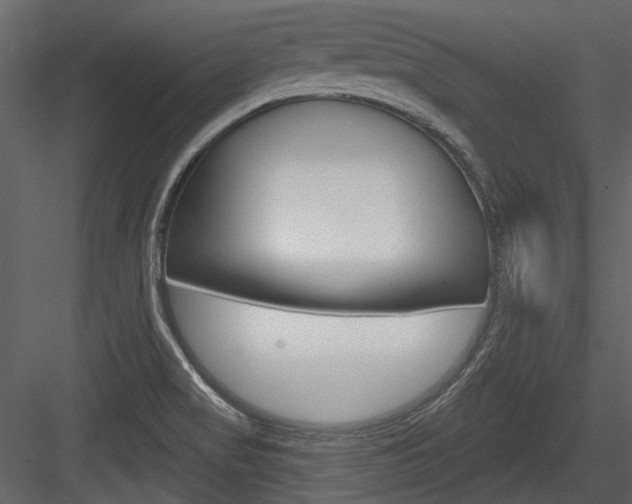 X0000084541517200702230855