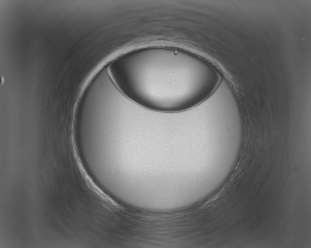 X0000084541518200702230855