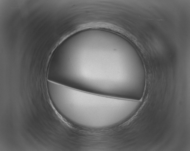 X0000084541521200702230855