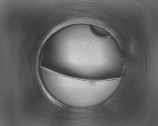 X0000084541523200702230855