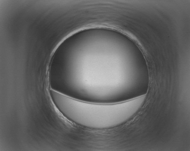 X0000084541524200702230855