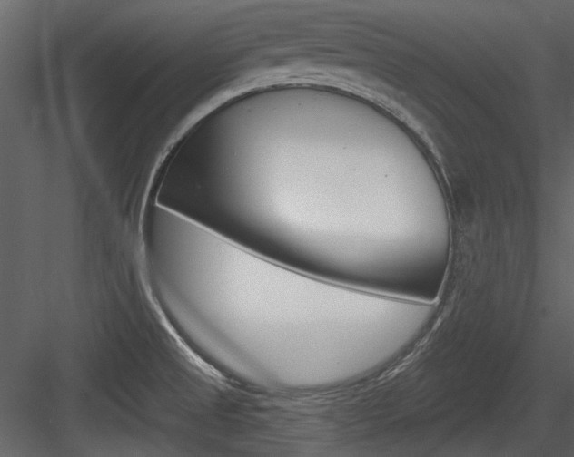 X0000084541525200702230855