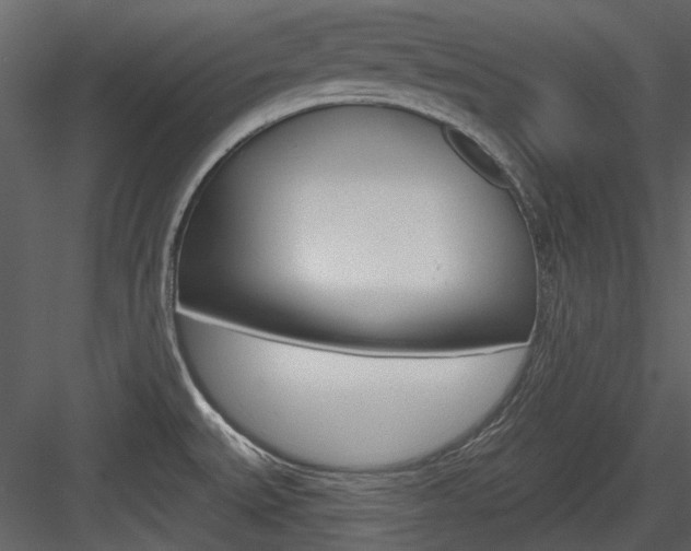 X0000084541527200702230855