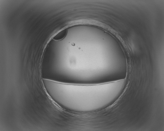 X0000084541529200702230855