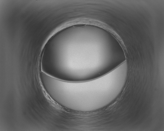 X0000084541530200702230855