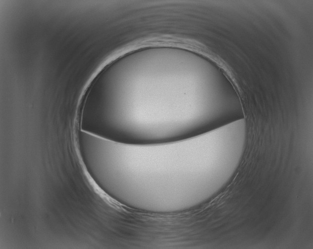 X0000084541531200702230855